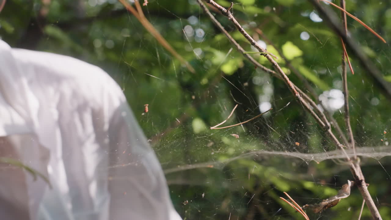 Studente di botanica in camice bianco che osserva da vicino con un microscopio delle fragili ragnatele in una foresta, esaminando i delicati fili di una ragnatela illuminati dalla luce del sole per uno studio ecologico e scientifico