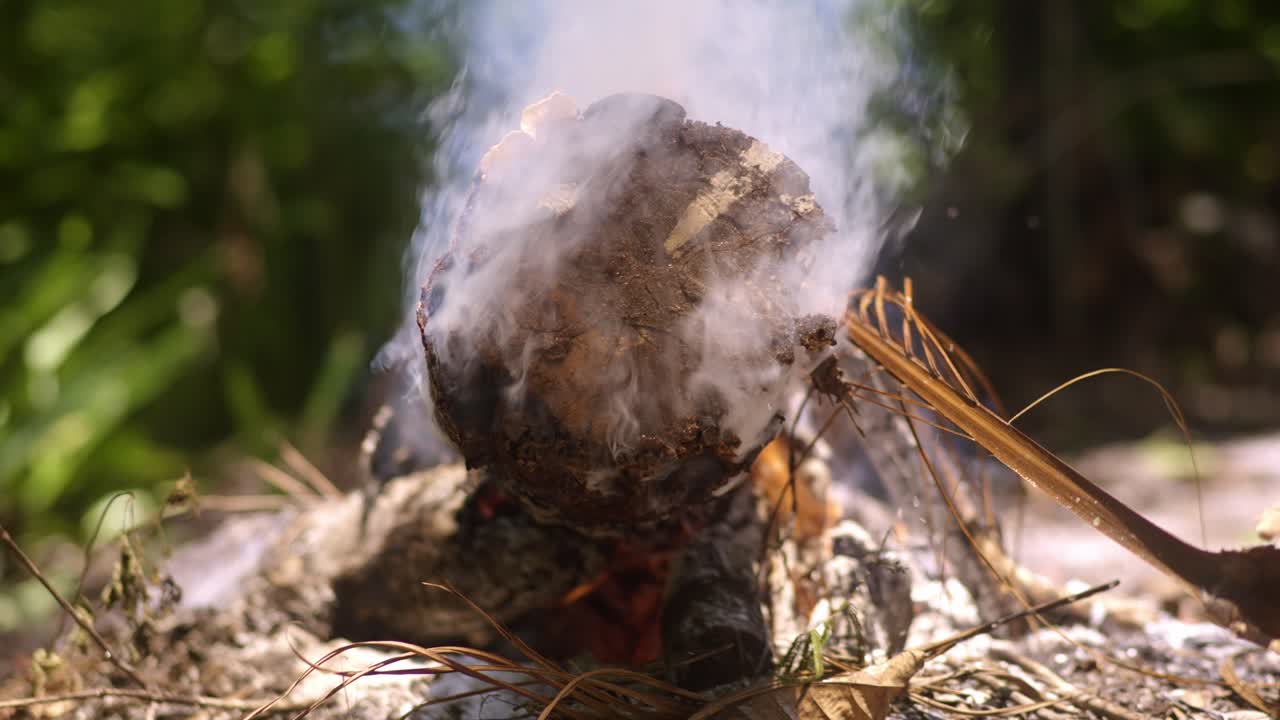 Tree log and branches burning small fire, emitting white smoke