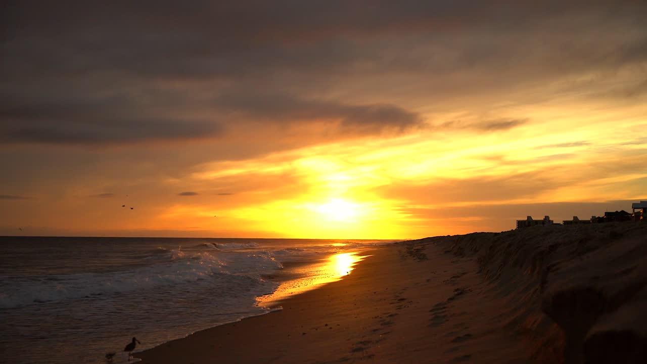 gaviotas y currucas pastan en la costa del océano al atardecer en la isla esmeralda en carolina del norte - toma fija de las hermosas olas y el cielo vespertino quemado desde la playa