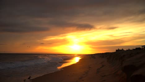 Seagulls-and-Warblers-graze-the-ocean's-coastline-at-sunset-on-Emerald-Isle-in-North-Carolina---Fixed-shot-of-the-beautiful-waves-and-burnt-evening-sky-from-the-beach