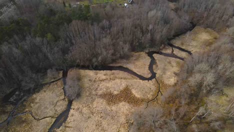 aerial drone footage of dark colored narrow rivers in a brown grassy field in laagri estonia called pääsküla river. the water is flowing in the middle of a forest or woody area and a garden visible.