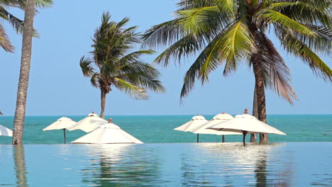 tropical hotel lounge with infinity pool and multiple umbrellas near the beach on a windy day