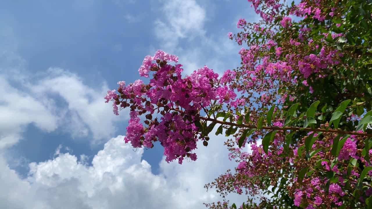 도쿄의 아름다운 경치