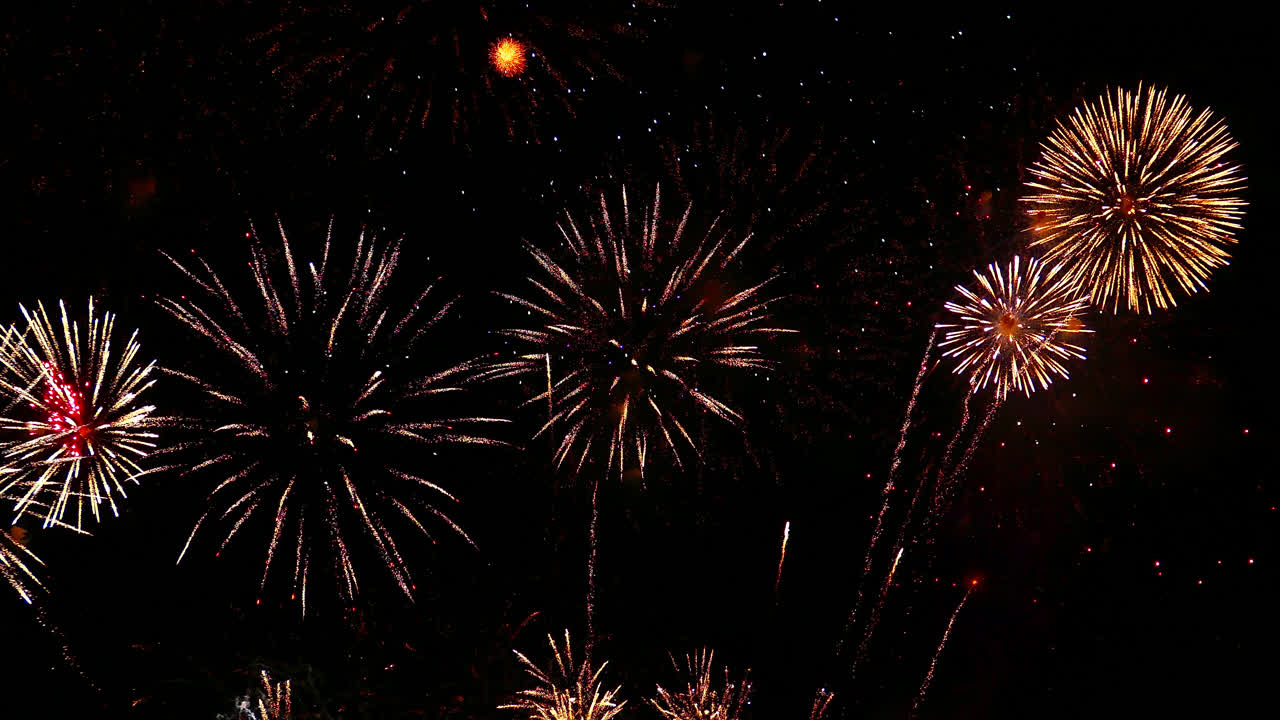 hermosa celebración abstracto colorido espectáculo de fuegos artificiales en el fondo de la noche