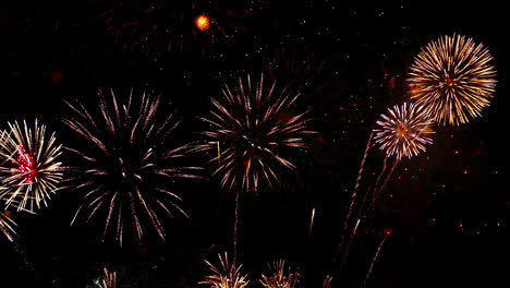 Beautiful celebration abstract colorful firework display at night background
