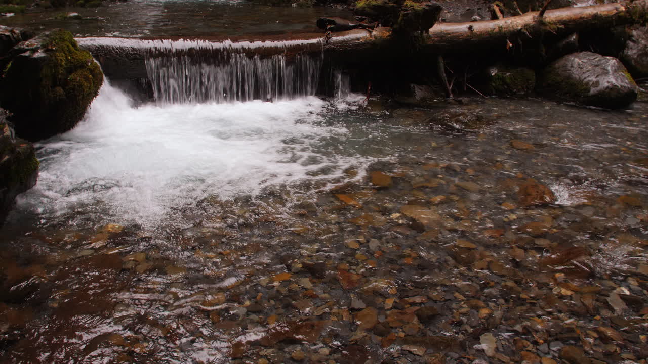 Medium close up of Virgin creek flowing over a fallen tree brach and then over a shallow bed of small rocks in the Chugach national forest in Girdwood Alaska