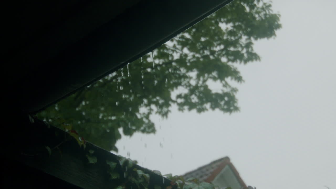 8 월 말 에 비 오는 날 에 창문 밖 을 바라보는 포브 사진, 독일