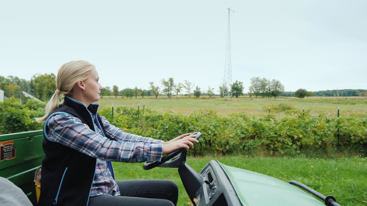 여자 농부는 들판에서 작은 그레이더를 탄다