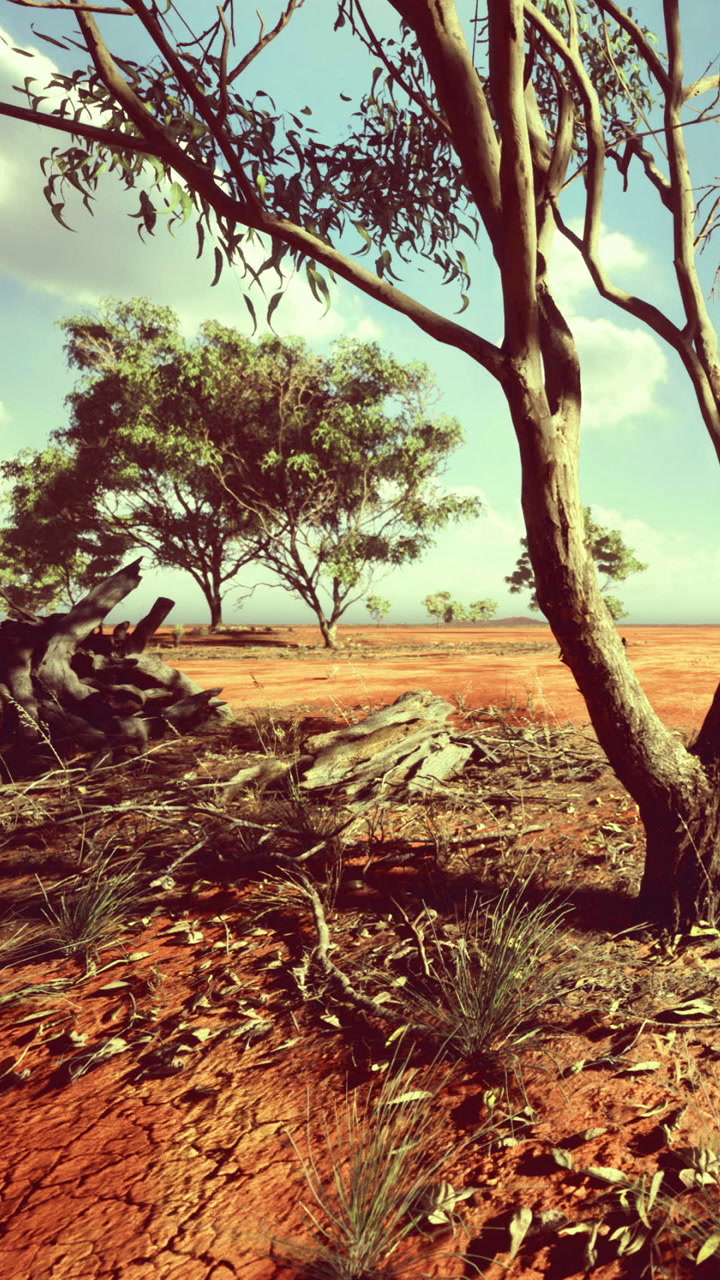 Landscape shows trees and dry earth in a rural area during daytime