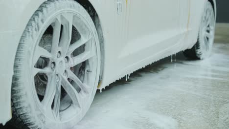 professional car detailing – washing, ceramic coating, and interior cleaning
