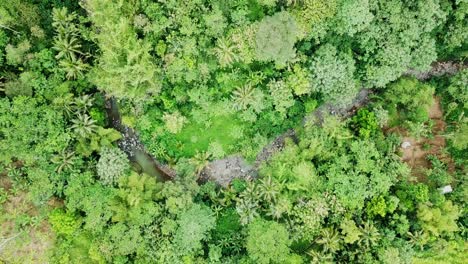 Dry-rocky-river-surrounded-by-dense-of-trees