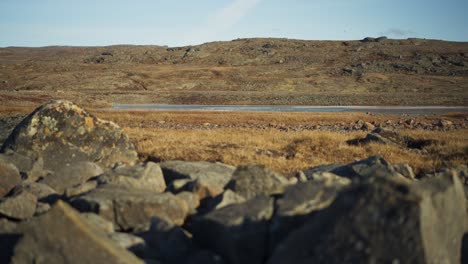 Rocas-De-La-Tundra-ártica-En-Verano