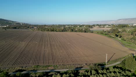 Verde-Latigazo-Durante-El-Invierno--El-Río-Jordan--Bautizo-Yardenit-Sitio-Cristiano-Sagrado--Turismo-Religioso--Norte-De-Israel