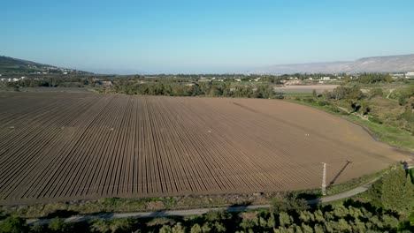 lash green during the winter- the jordan river- yardenit baptism holy christian site- religious tourism- northern israel