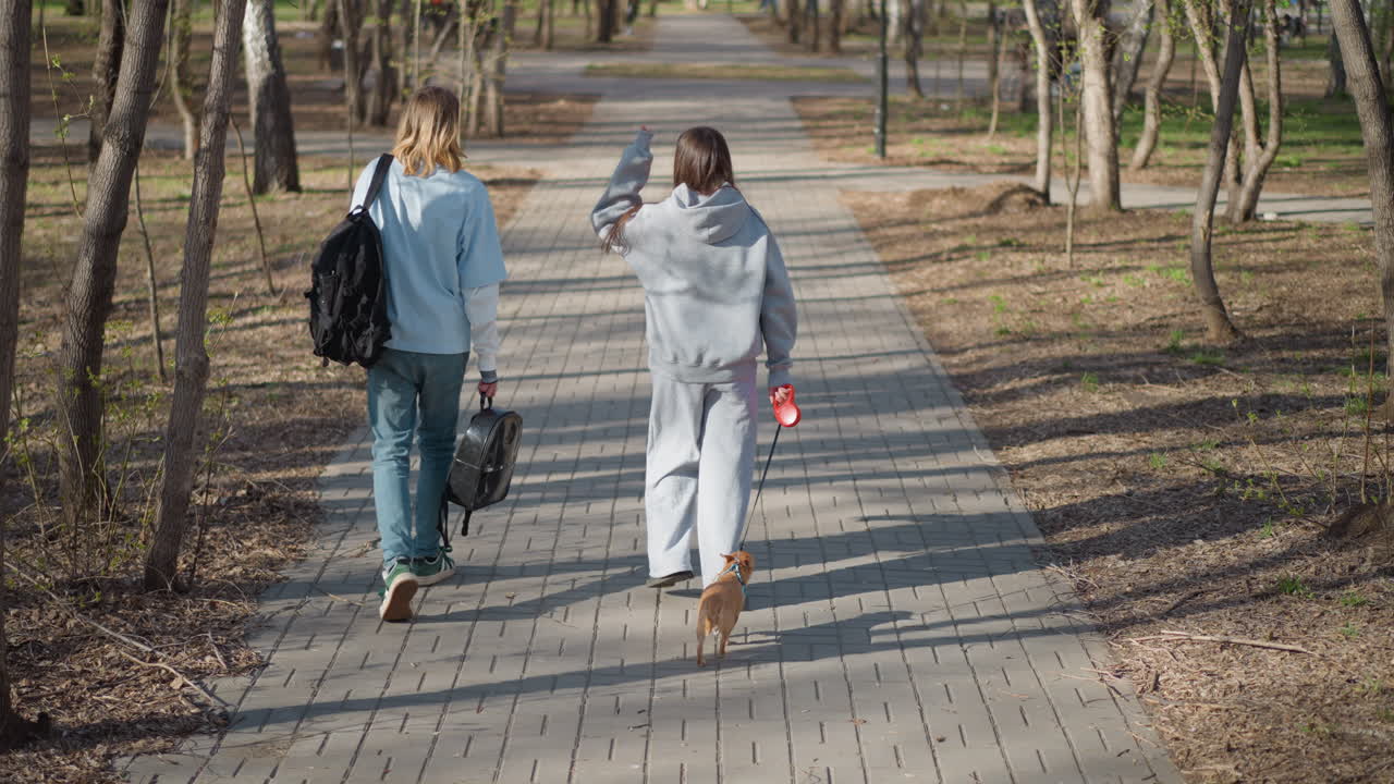 Mascota joven paseando, jóvenes enérgicos y sus caninos atraviesan entornos naturales alegremente, adolescentes entusiastas y sus perros exploran parques abiertos durante salidas diurnas relajadas