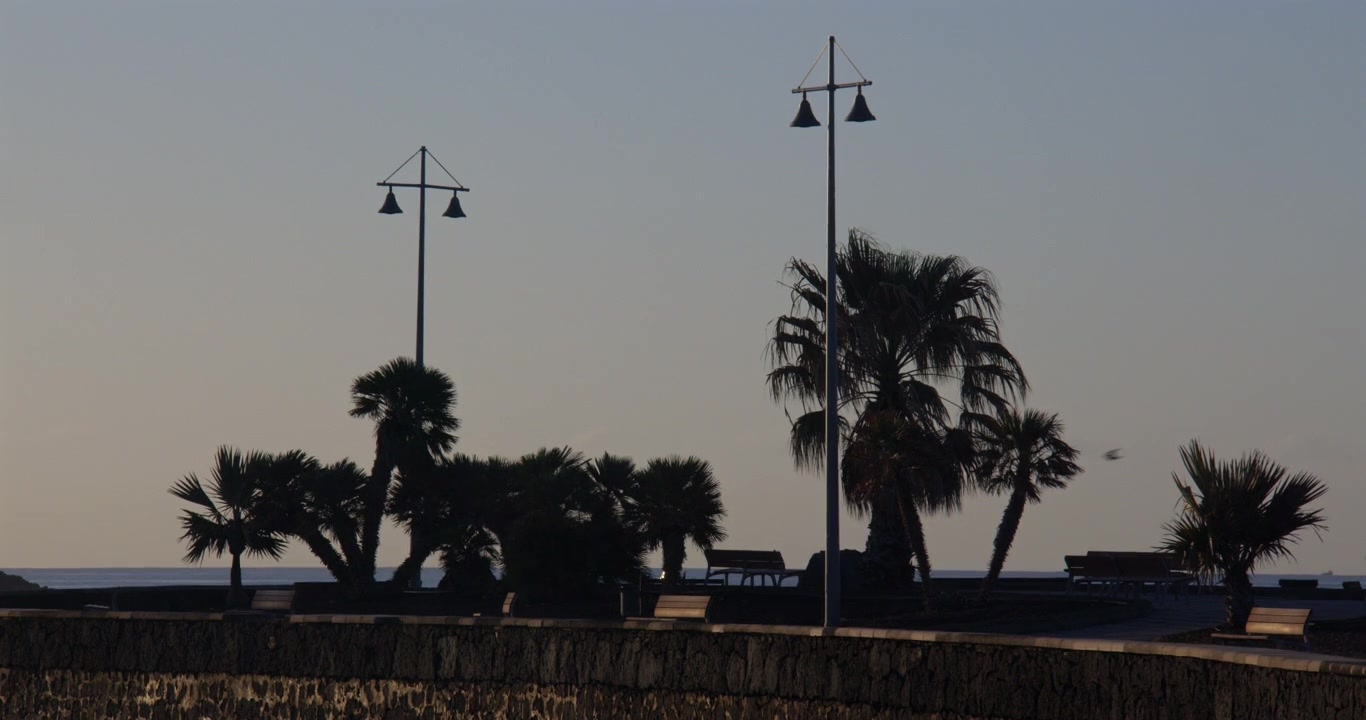 Scatto di prima mattina che si affaccia sul Paseo de los Cactus ad Arrecife