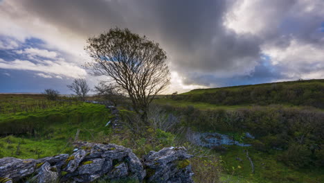 timelapse of rural nature farmland with line of trees and rocks in the foreground located in stoneground field during dramatic cloudy sunset evening viewed from carrowkeel in county sligo in ireland