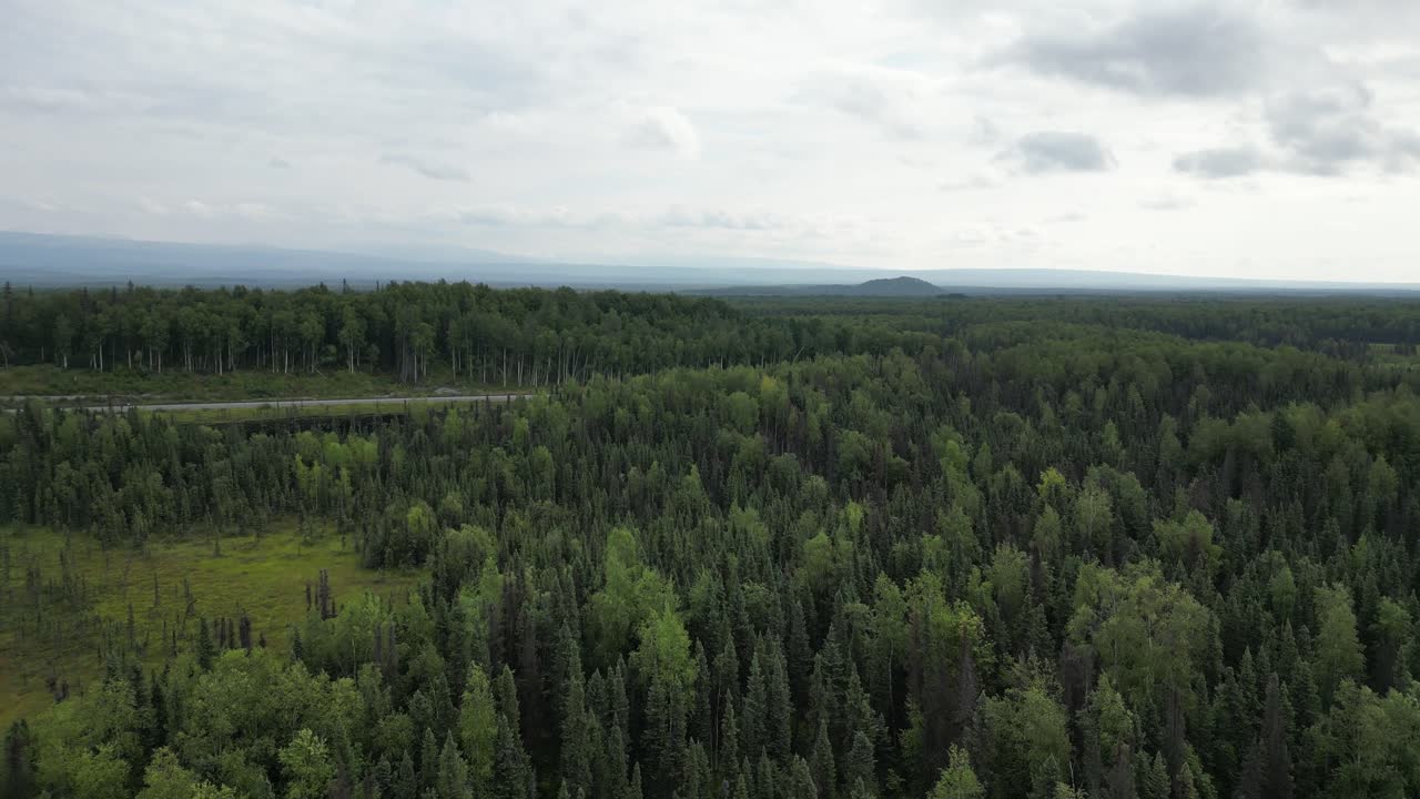 알래스카의 숲, 풍경과 순수한 자연