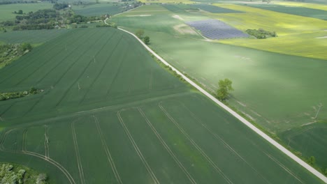 Aerial-wide-shot-over-the-green-farm-field-od-early-summer