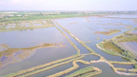 Vuelo-De-Drones-Sobre-Pantanos-Y-Campos-Inundados