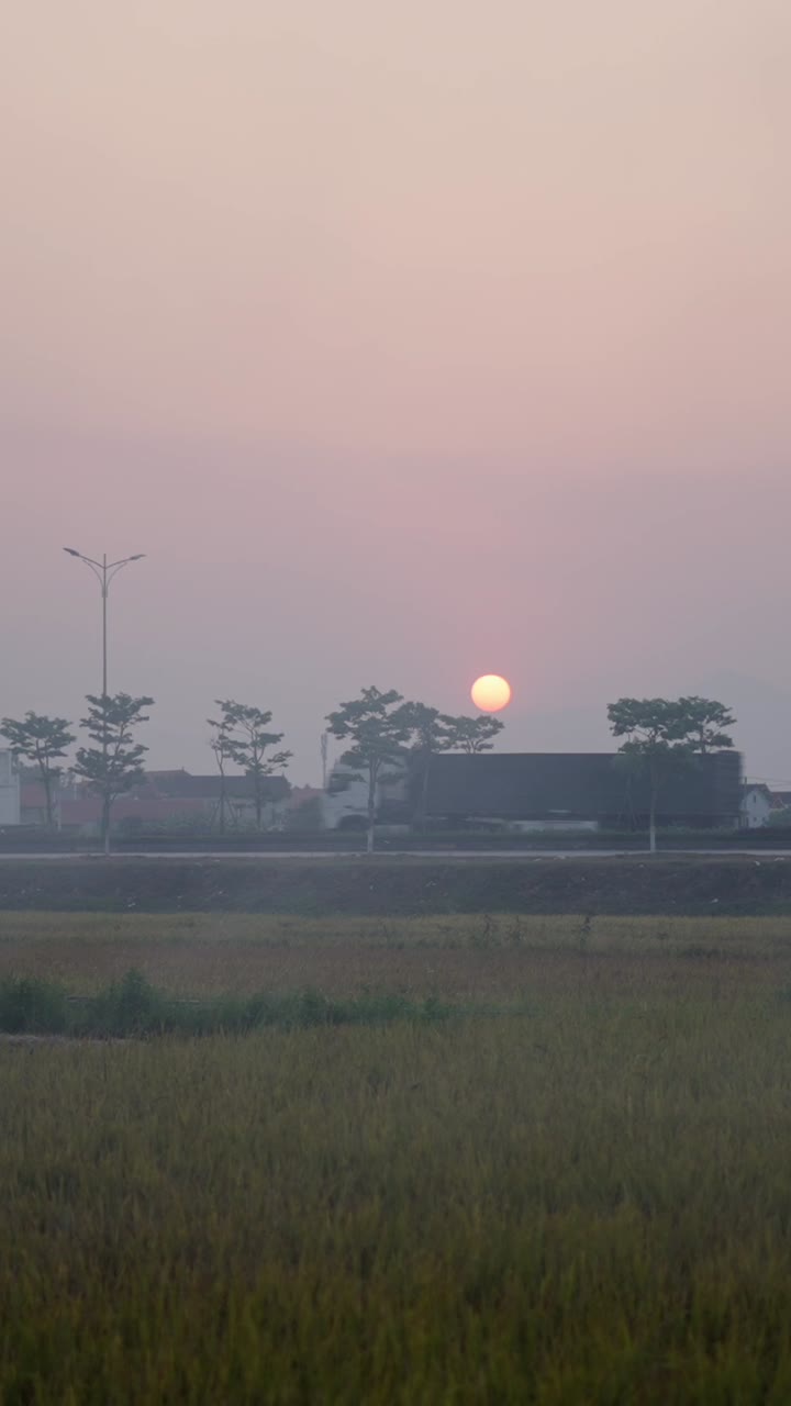 위 의 해가 뜨는 것