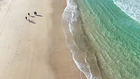 people walking along a serene beach