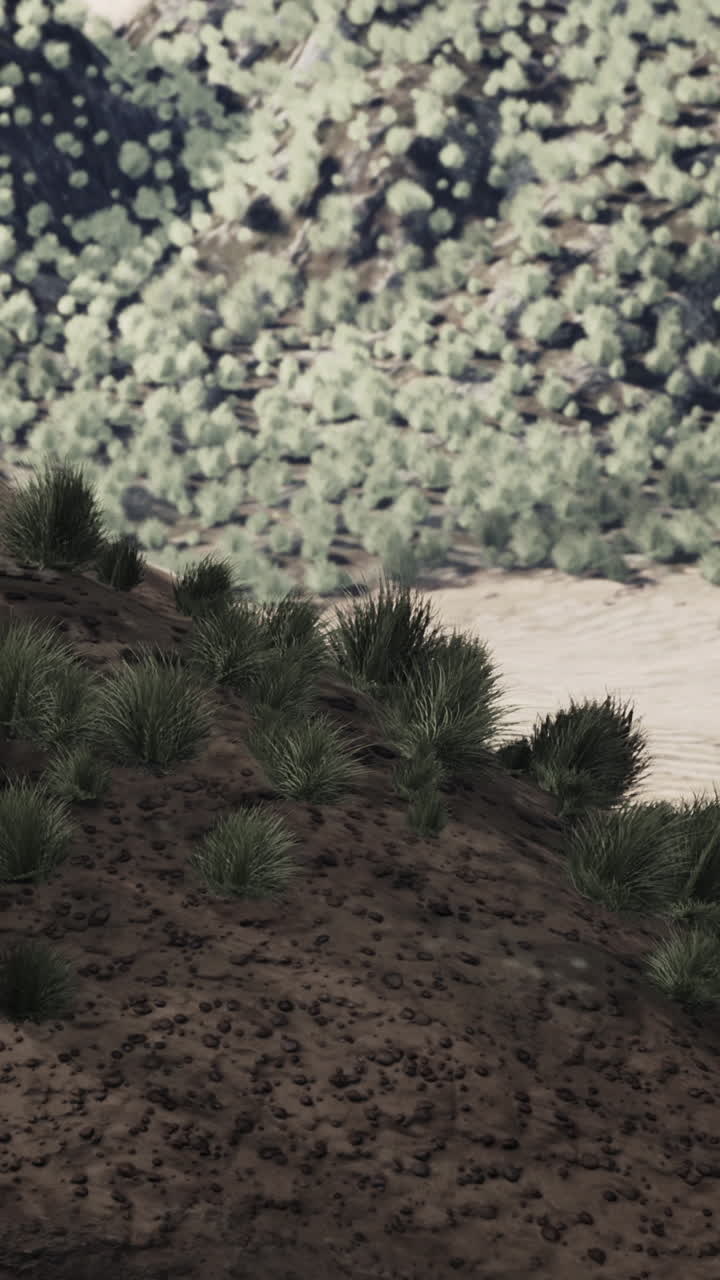 cerca de la hierba en una colina