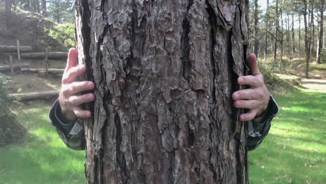 cerca de dos brazos y manos masculinos caucásicos abrazando un tronco de árbol en medio del bosque