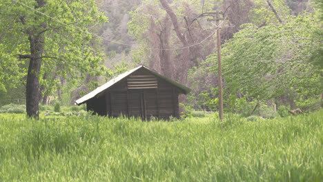 static wide shot of brown shed in grassy knoll