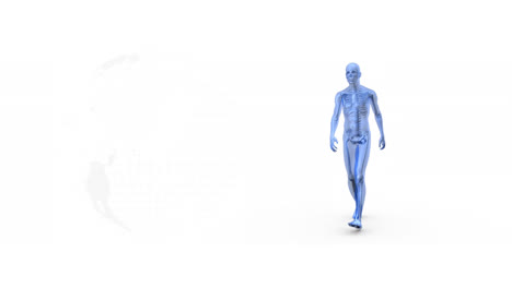 animation of human walking and globe on white background