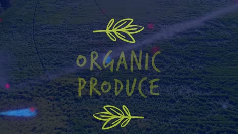 animation of multicolored floating dots with organic produce text over aerial view of green field