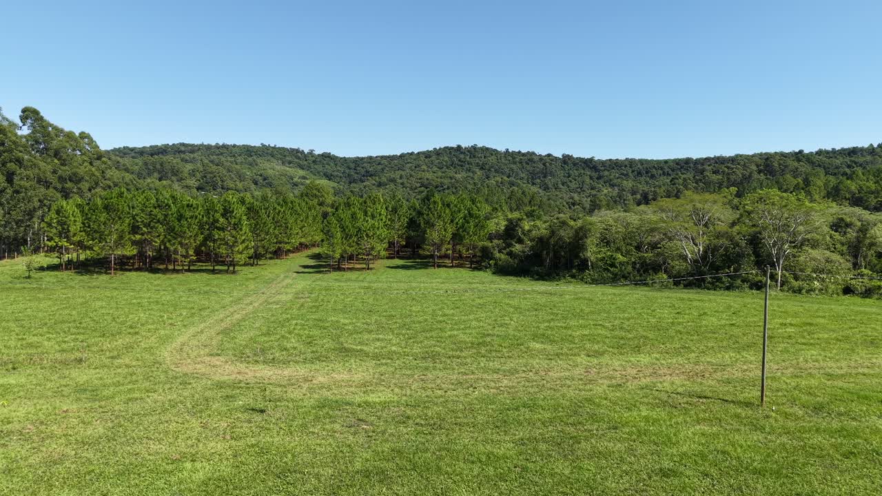 Panoramic drone fly at green rural landscape with tree plantations and open fields near river, Panambi, Misiones, Argentina