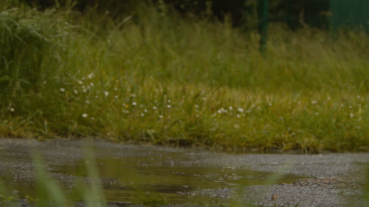 Close Up Shot Of Woman Exercising Keeping Fit Running In Rain Splashing In Puddle 1