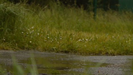 close up shot of woman exercising keeping fit running in rain splashing in puddle 1