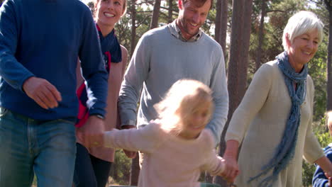 multi generation family walking in the countryside