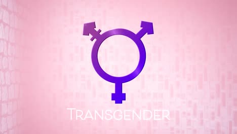 Animation-of-purple-transgender-symbol-on-pink-background