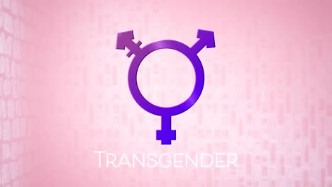 animación del símbolo transexual púrpura sobre fondo rosa