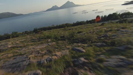 Circles-of-coastal-Norwegian-fishing-farms,-FPV-aerial-flying-towards