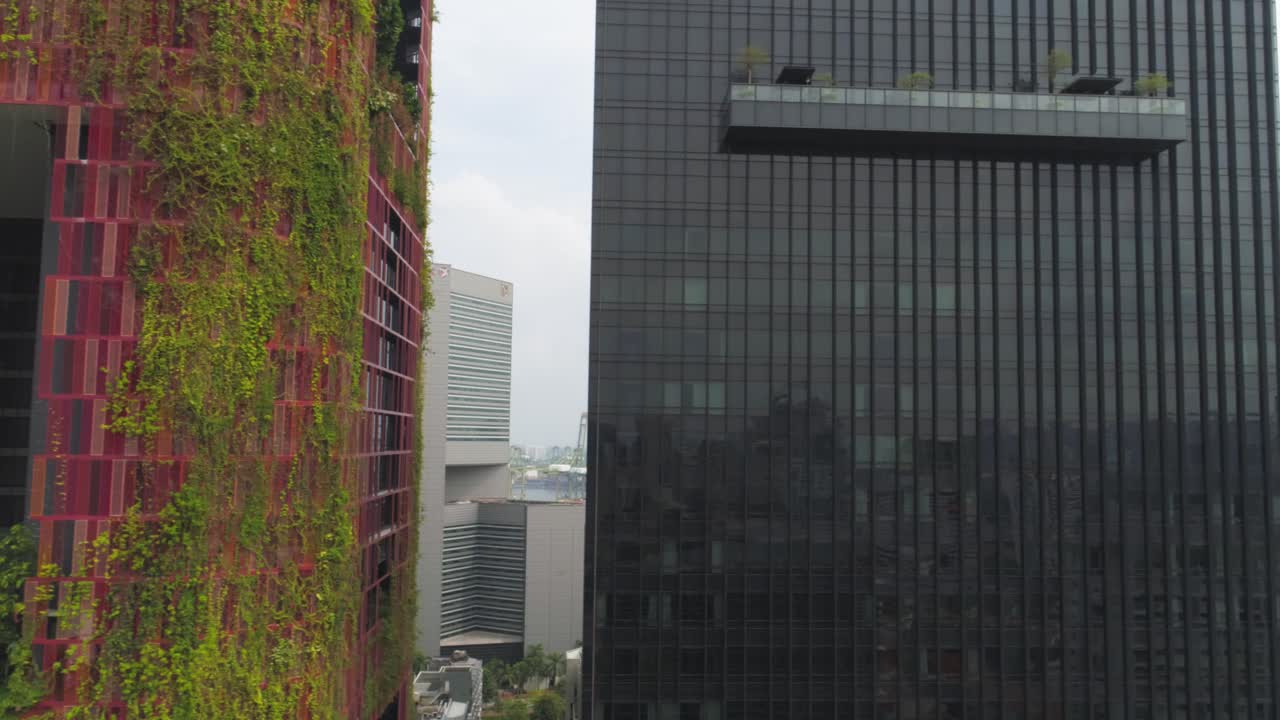 rascacielos modernos en un entorno urbano con pared verde