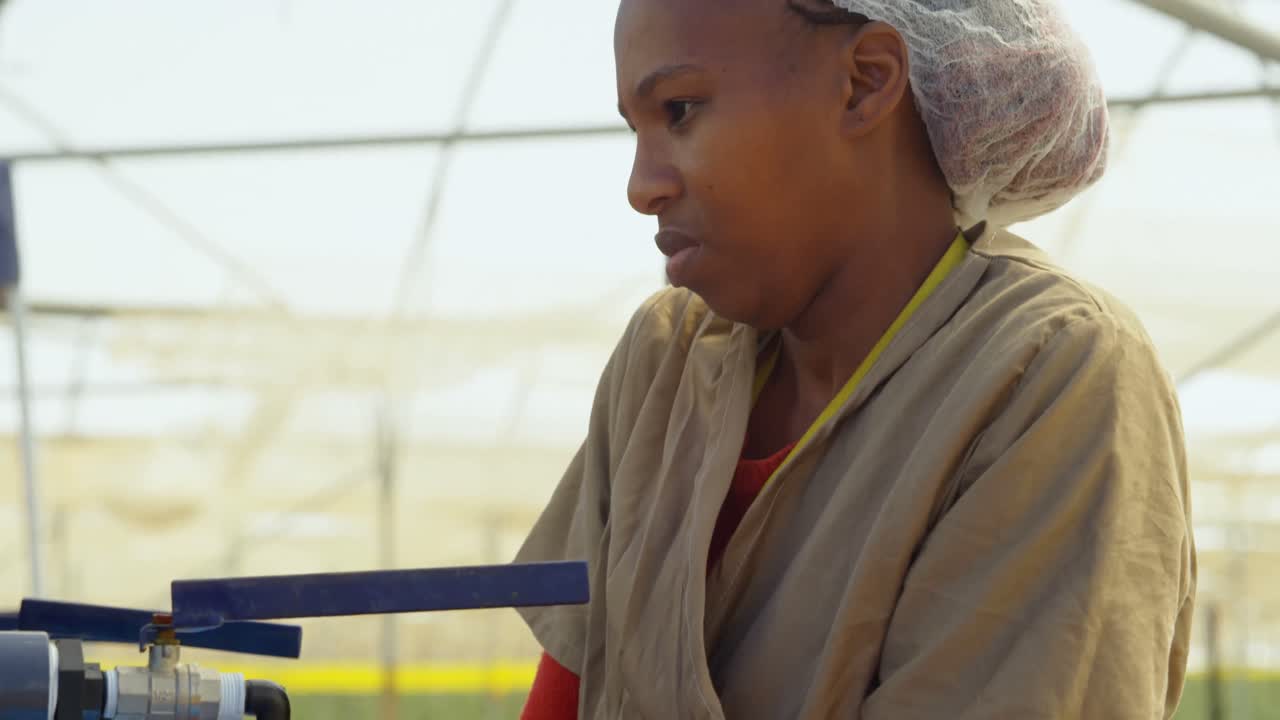 블루베리 농장에서 손을 청소하는 노동자 4k