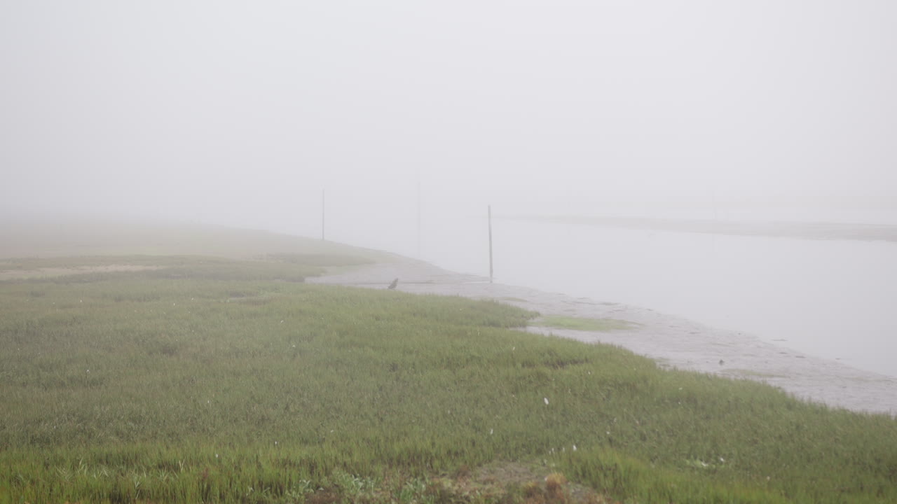 Misty Weather At Arcachon Basin Near Landes de Gascogne In France. Static Shot