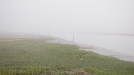 misty weather at arcachon basin near landes de gascogne in france. static shot