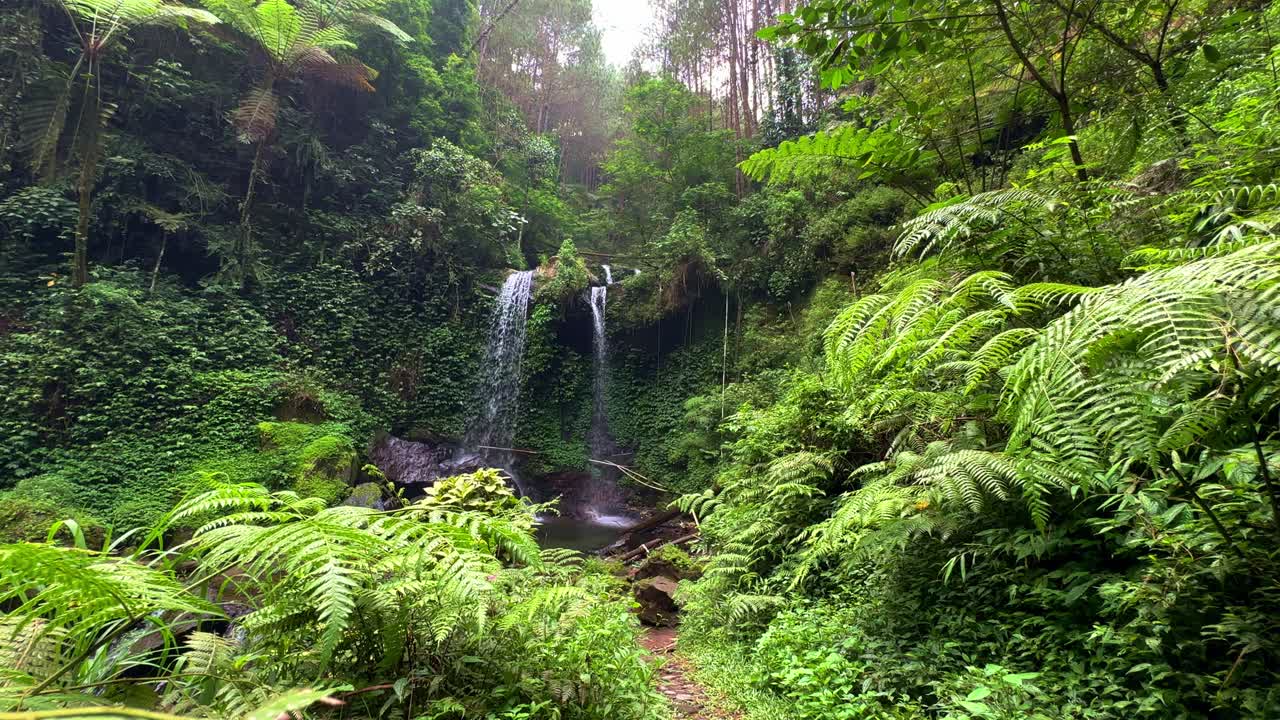 La cascata è visibile dall'erba.