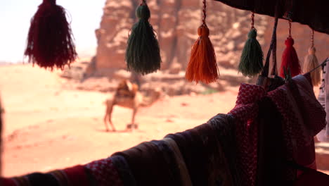 Sitio-Arqueológico-De-Petra,-Jordania,-Foto-De-Recuerdo-Y-Camello-En-El-Paisaje-Desértico-En-Un-Día-Soleado,-Detalle-De-Cerca