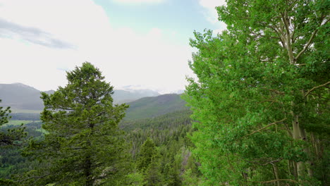 Brise-Durch-Die-Colorado-Mountains