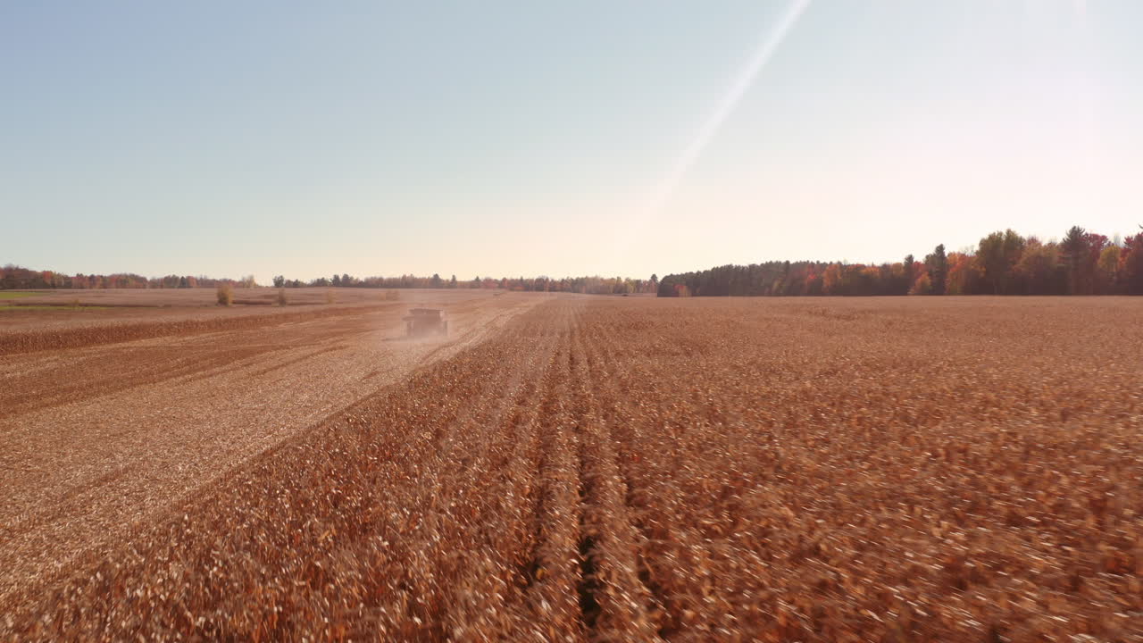 4k luftoptagelser af kombinationsoperationer med støttende traktorer, der høster hvede i quebec, canada