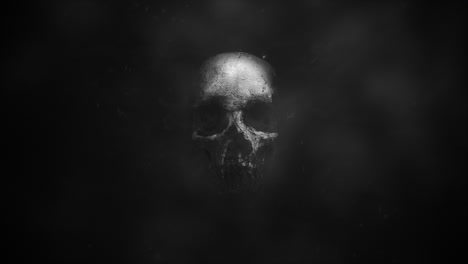 mystical horror background with dark skull holiday halloween