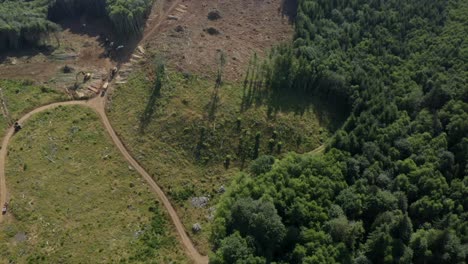 Drone-Volando-Alto-Sobre-La-Operación-De-Tala---Deforestación-Tala-Rasa