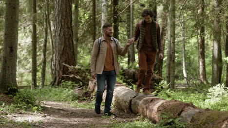 pareja gay caminando en el bosque