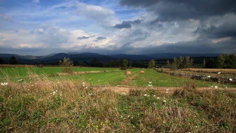 Campo-Rumano-En-Verano---Vista-Panorámica